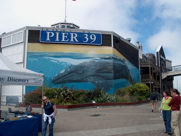 The Pier 39 Aquarium trap!