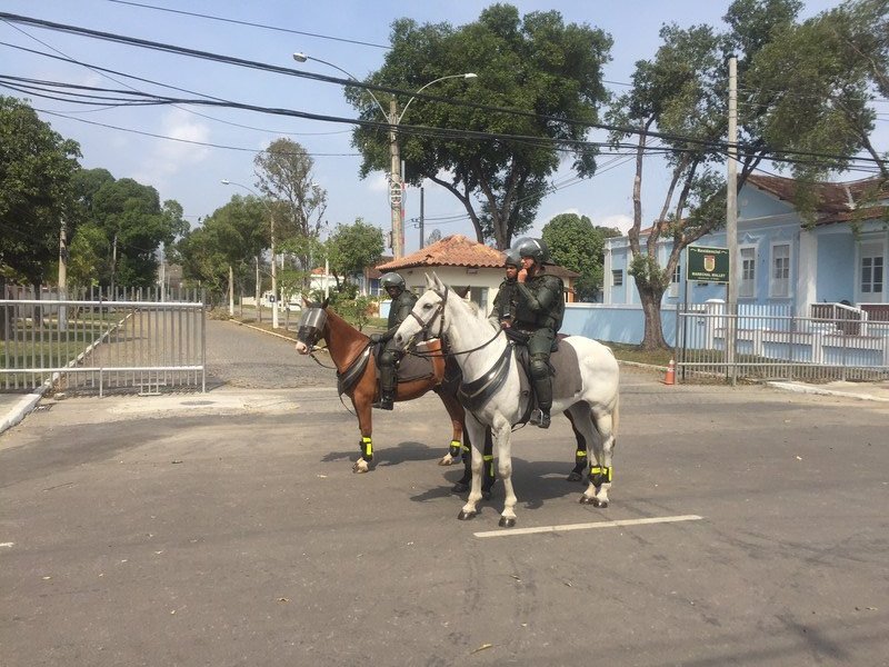 Security Force Horses