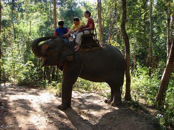 Karen &  dad, Daryl, from  Nova Scotia -Elephant trek