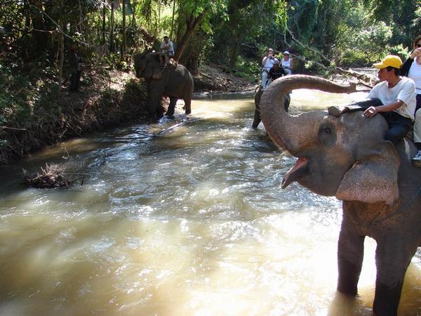 Water in river on Elephant trek