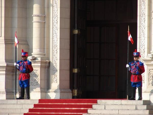 Presidential guards