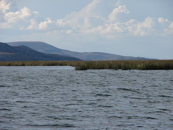 Reeds used for islands