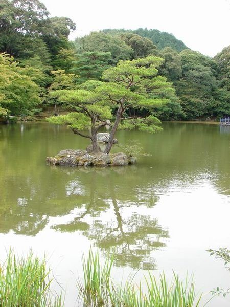 Kyoko-Chi (Mirror Pond) @ Rokuon-ji Temple