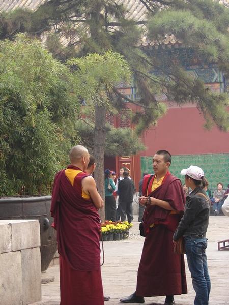 Monks at the temple