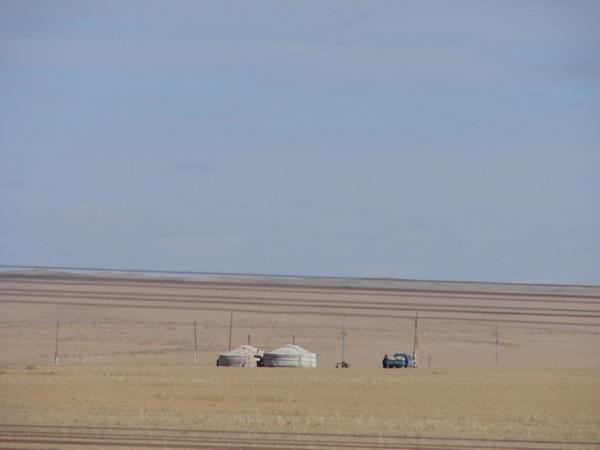 Yurts on Gobi Desert
