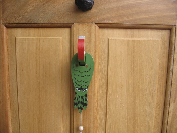 Woodpecker door knocker in Dublin