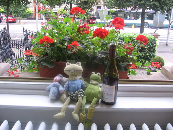 Frogfeather and his new travel friends enjoying Strasbourg in our hotel window