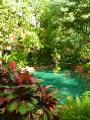 Surat Thani Swimming Pool