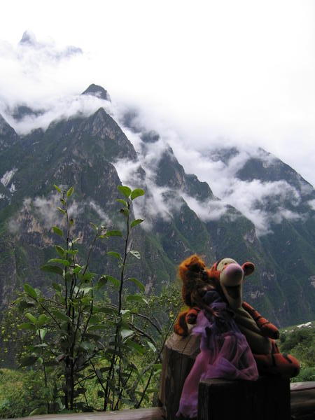 Tigger Leaping Gorge