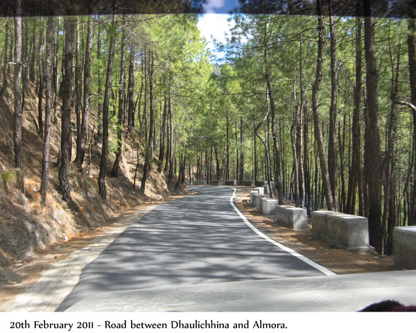 Road through the pine forest near Almora.