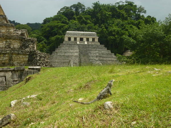 Ruins at Pelenque
