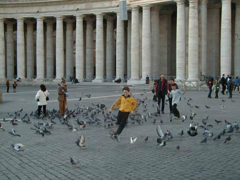 Sirio chasing birds in Vatican City, Rome