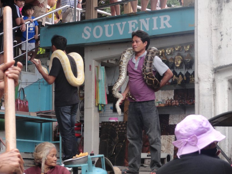 Can take photo with the snake...I dare you!