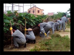 CLEARING THE RIVER BANK