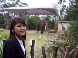THANH IN THE ELEPHANT ENCLOSURE