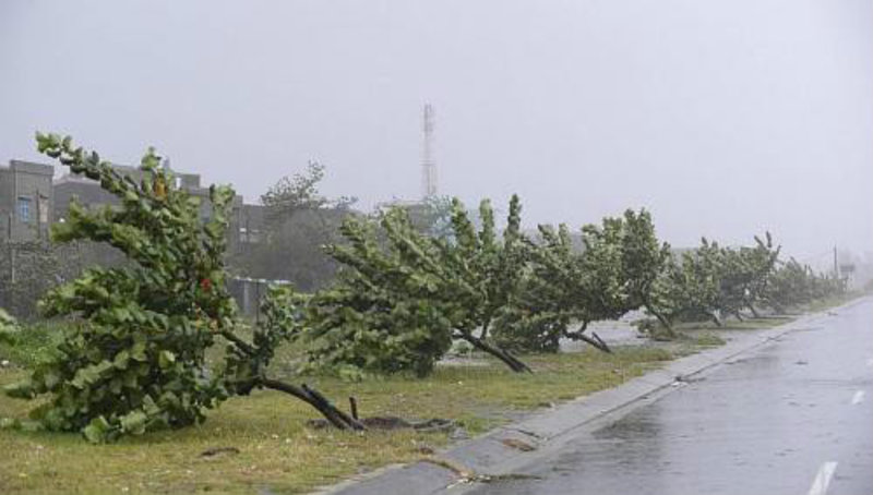 Typhoon Nari - Photo from the Straitstimes