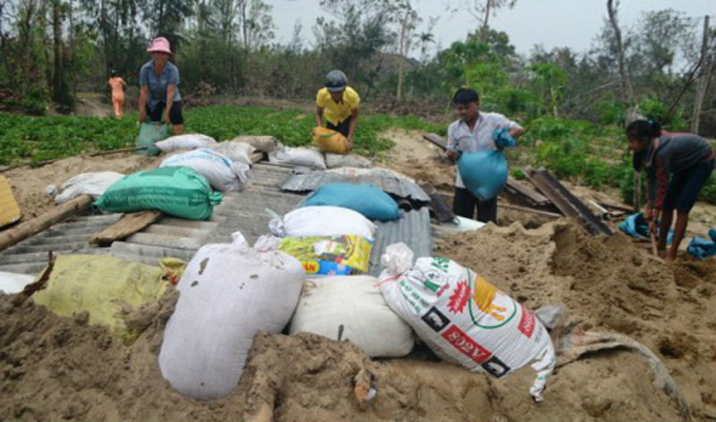 Residents in Trung Phuong hamlet in Duy Hai commune dig underground sandbag bunkers to project themselves from Typhoon Haiyan on November 9, 2013. Photo from Tuoitre.vn