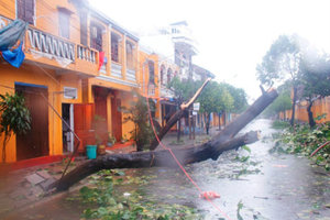 Typhoon Nari Aftermath - Photo from Tripadvisor