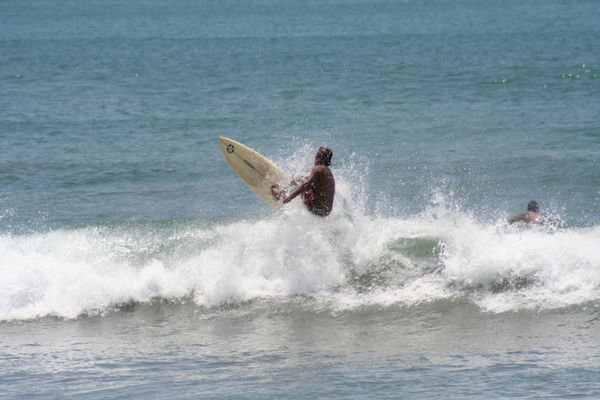 Bali Surf