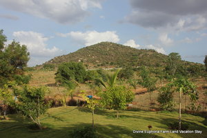 View of the beautiful hills from Divine Euphoria