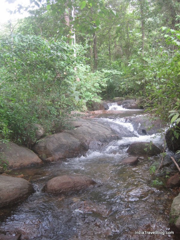 Bharanikuzhi Waterfalls