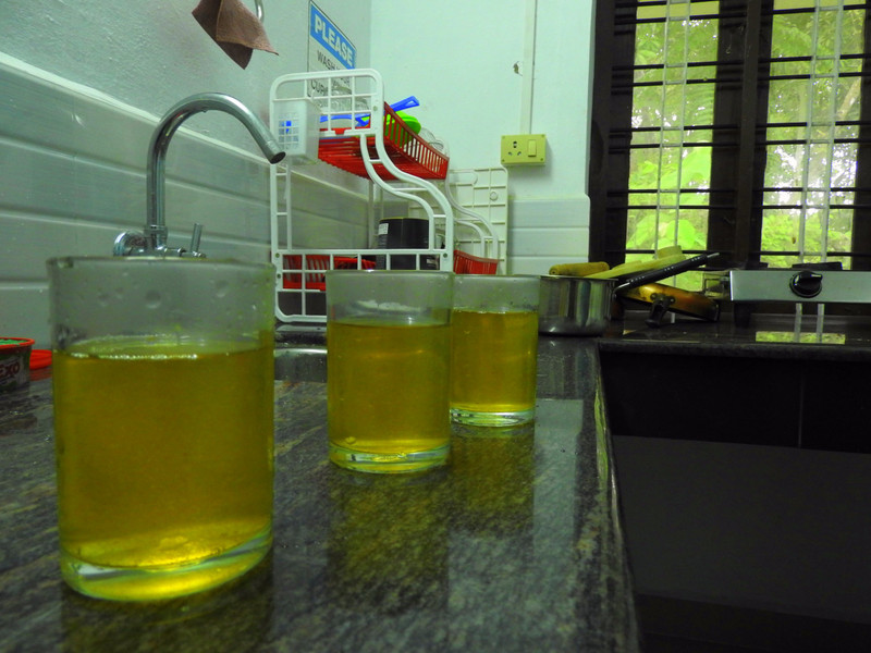 Refreshing lemon tea, made by myself in Thushaaram
