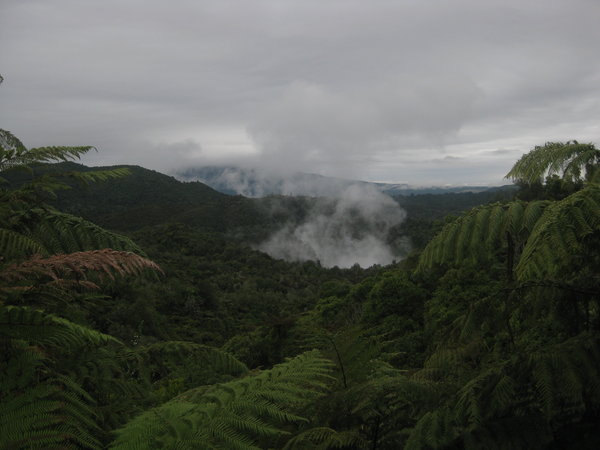 The Waimangu Volcanic Valley