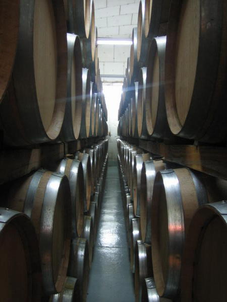 Barrels of wine in the cellar