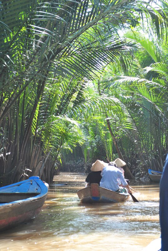 paddling through the cocnut groves