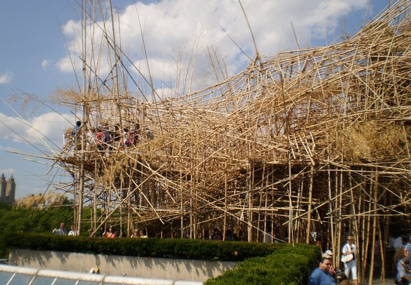 Bamboo installation on the roof terace