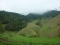 The base of the Valle of Cocora