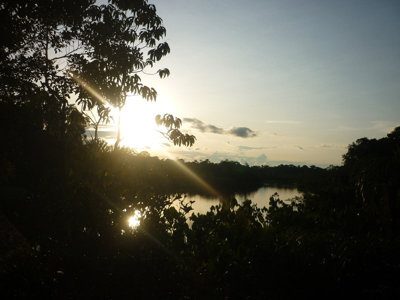 The Amazon at sunset.