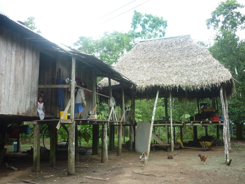 A traditional Amazon house