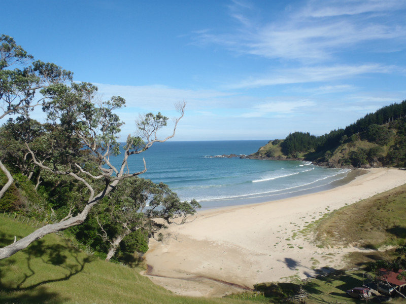 A view from a coastal walk from Sandy Bay