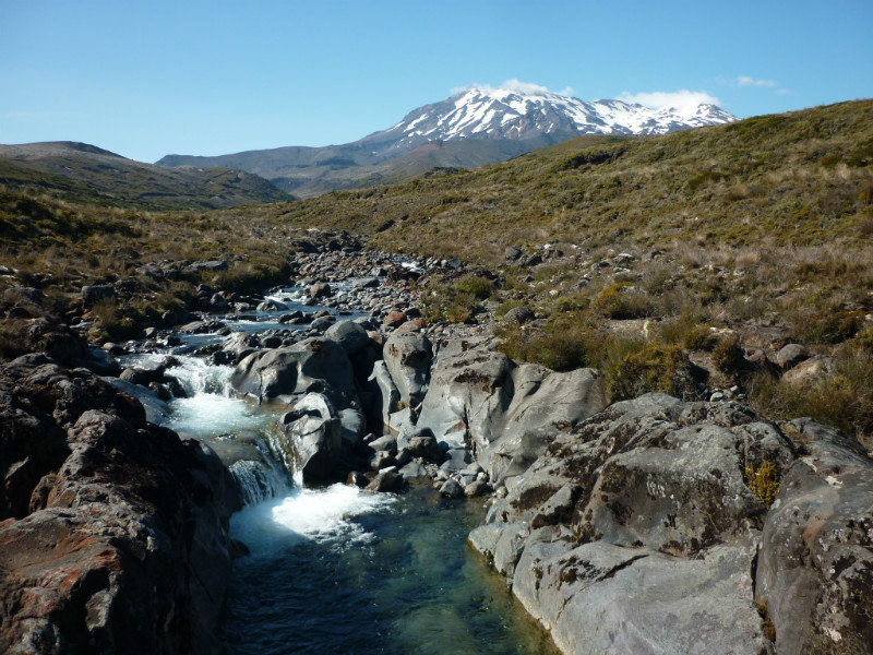 A view in the Tongariro National Park 