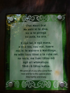 An example of Maori writing