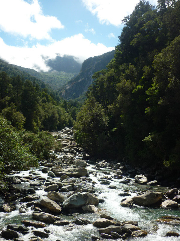A view on the Muller Hut walk