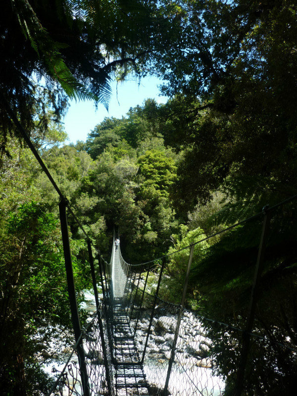 A swing bridge on the Muller Hut walk