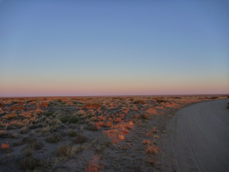 road to Lake Eyre north