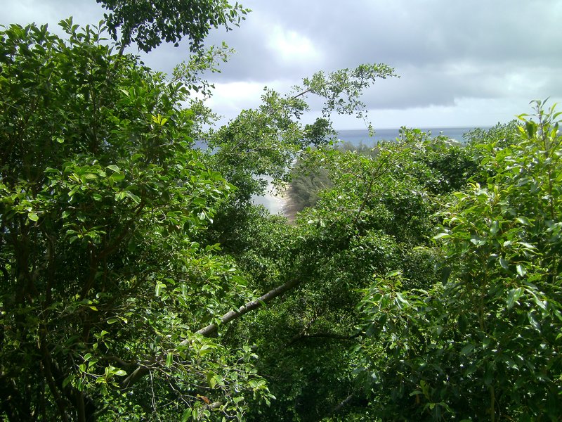 The view from the trail 3