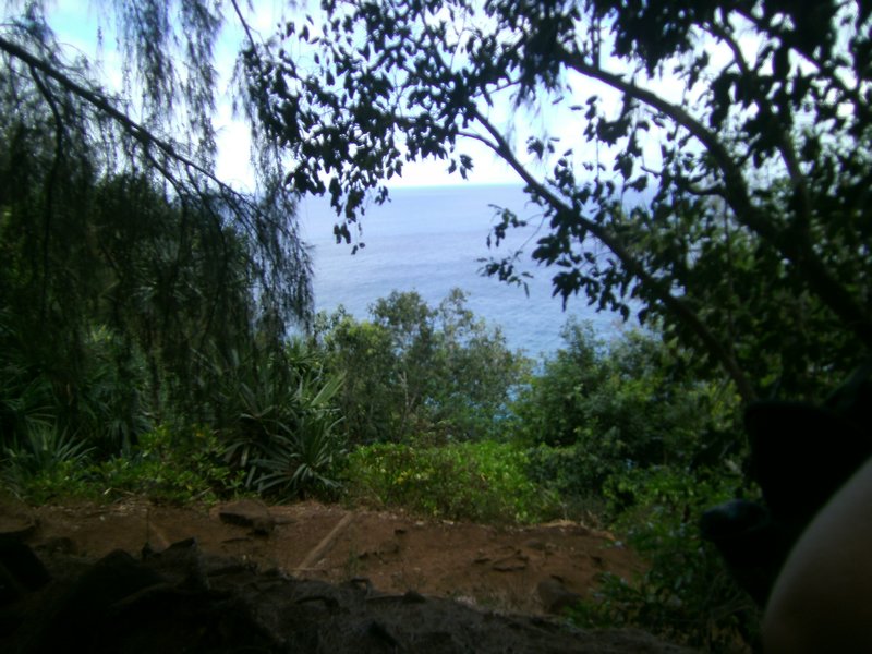 The view from the trail 5