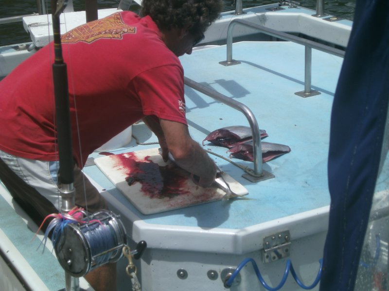 Jeff, our guide, slices us some yellowfin