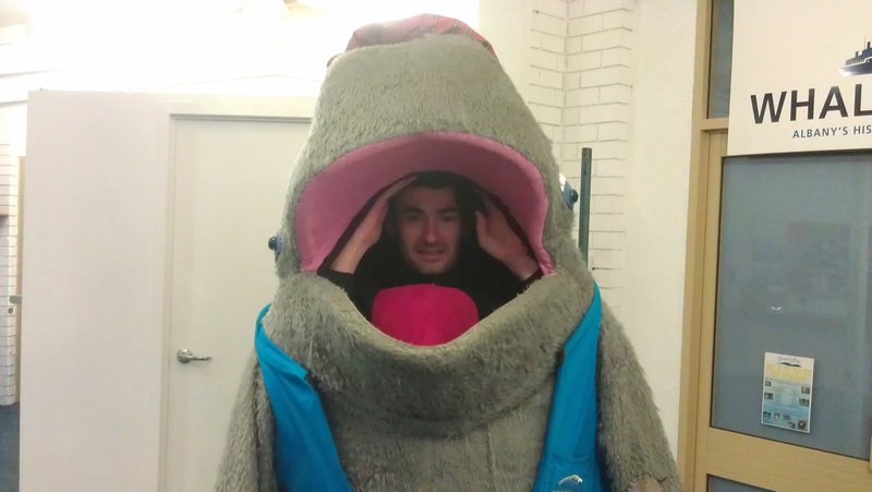 Whale Costume