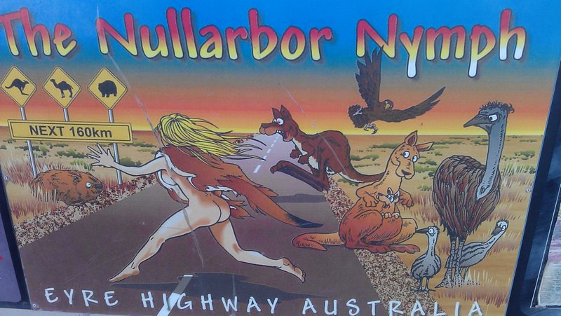 The Nullarbor Nynph