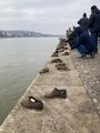 The Shoes on the Danube Memorial