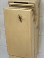 Huge crickets near the toilets, but they didn’t move!
