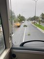 A big branch blown into the road 