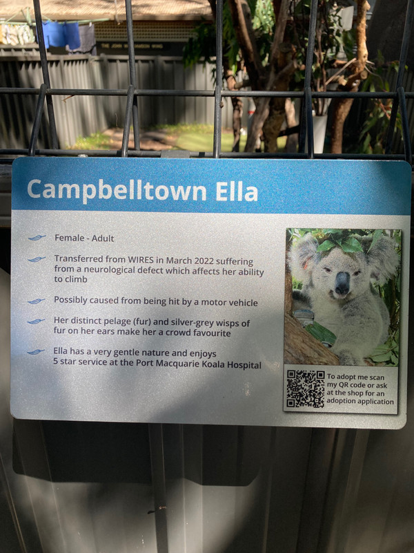 Information board for Ella!