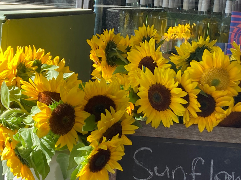 Sunflowers at Murray’s