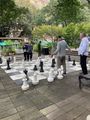 A friendly game of chess